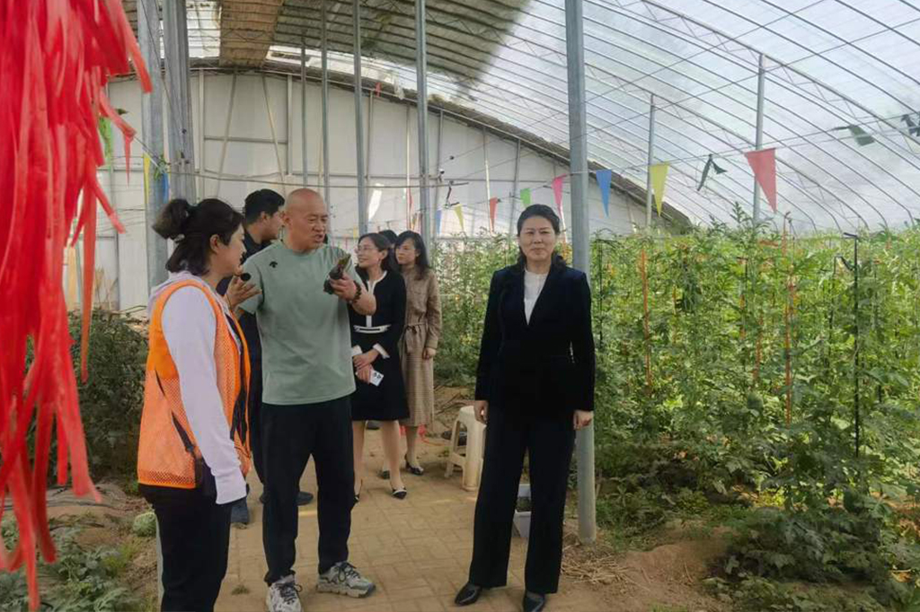 副市长隋子林调研考察春田里